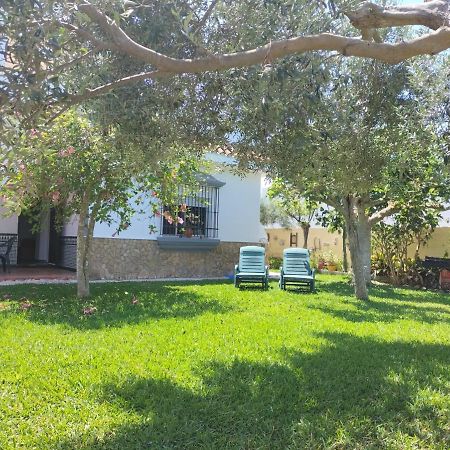 Villa Antonia شيبيونا المظهر الخارجي الصورة